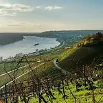 아파트 Rheinglueck 오펜하임