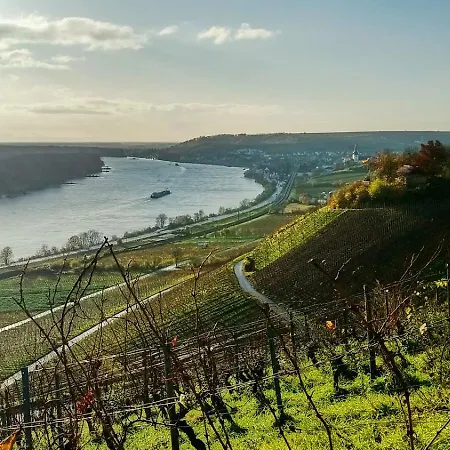 Appartement Rheinglueck Oppenheim