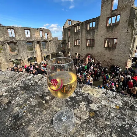 Rheinglueck Appartement