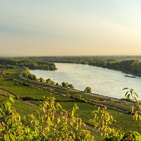 Rheinglueck * أوبنهايم