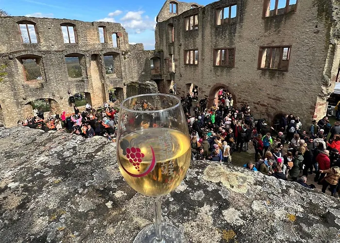 Rheinglueck Lejlighed