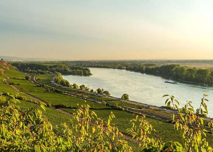 Rheinglück * Oppenheim